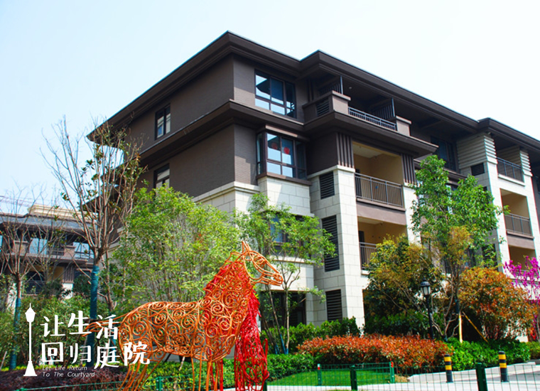 前后张望南阳50年：：：这样的庭院，很难再有了！！