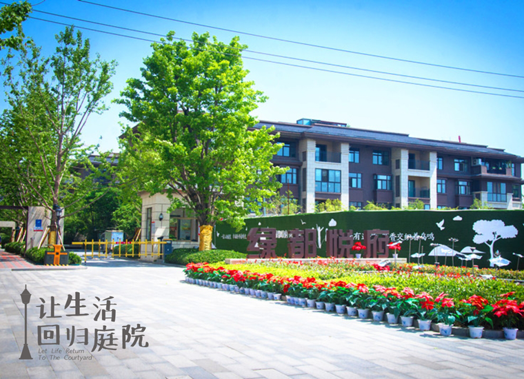 前后张望南阳50年：：：这样的庭院，很难再有了！！