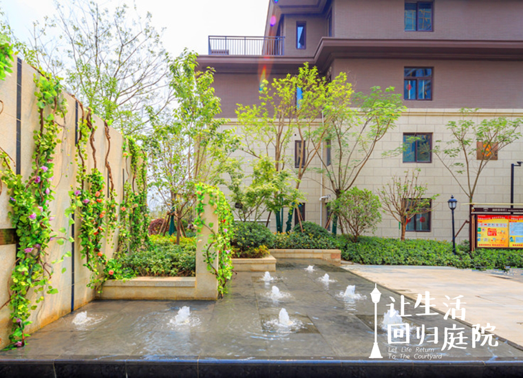 前后张望南阳50年：：：这样的庭院，很难再有了！！