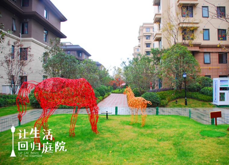 前后张望南阳50年：：：这样的庭院，很难再有了！！