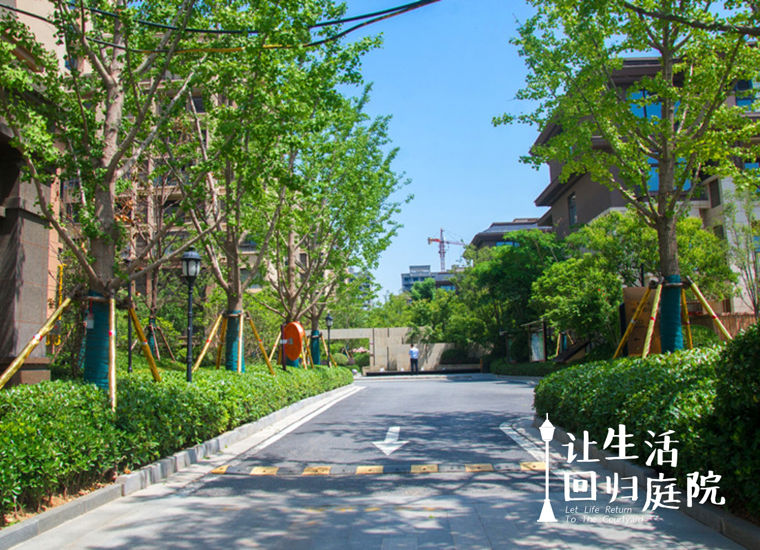 前后张望南阳50年：：：这样的庭院，很难再有了！！