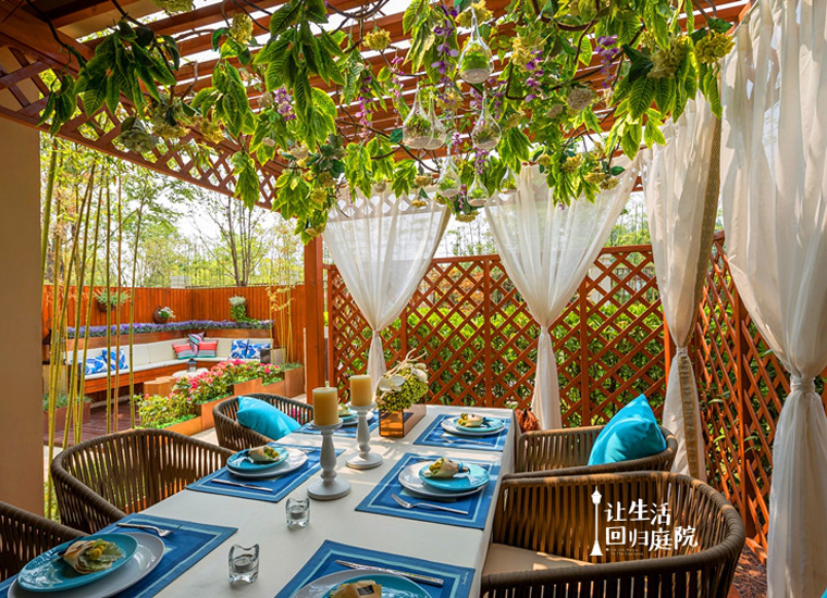 前后张望南阳50年：：：这样的庭院，很难再有了！！